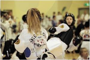 Taekwondo at a Glance 